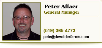 Email Peter Allaer
